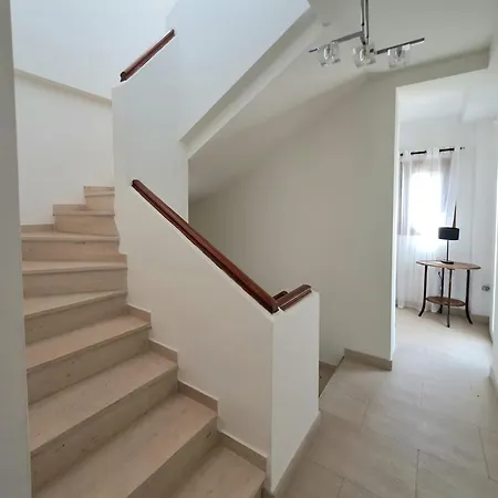 Noctua 035 Valle 035 *