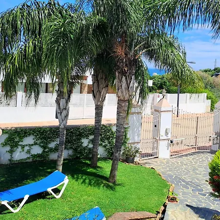 Noctua 035 Valle 035 *