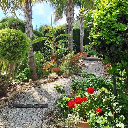 Noctua 035 Valle 035 Villa *