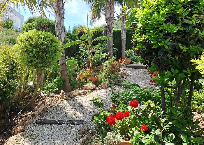 Noctua 035 Valle 035 Villa *