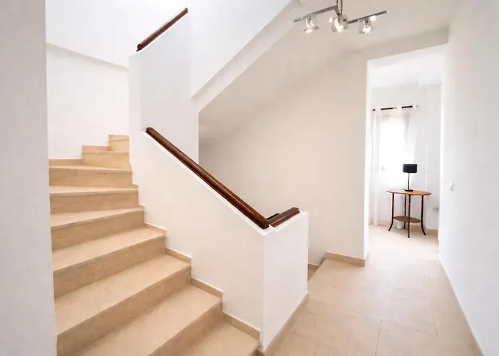 Noctua 035 Valle 035