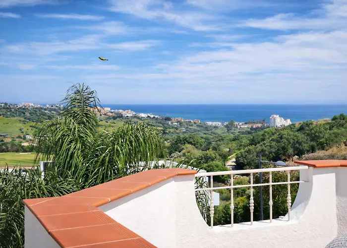 Noctua 035 Valle 035 Estepona