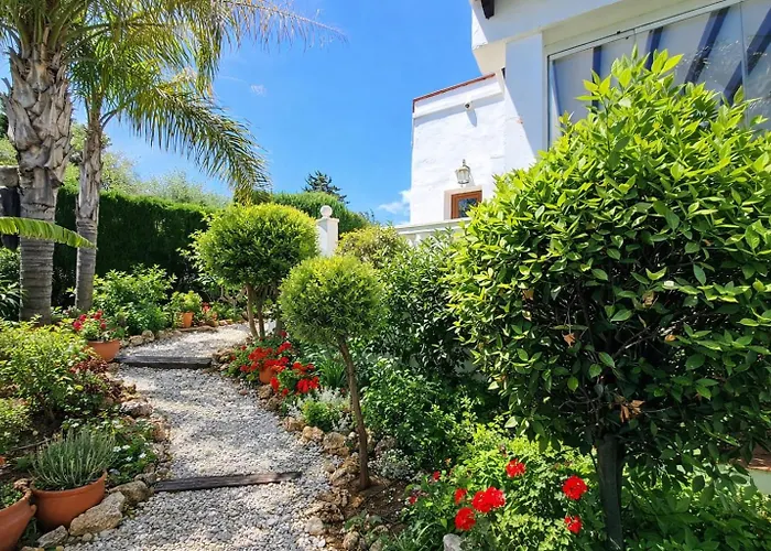 Noctua 035 Valle 035 *