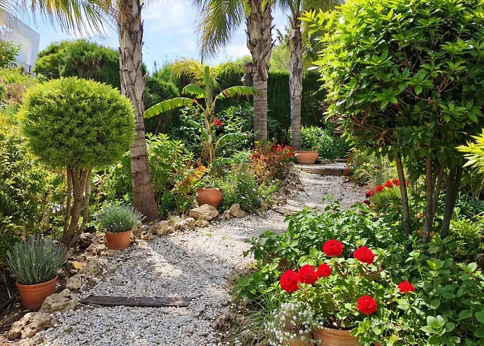 Noctua 035 Valle 035